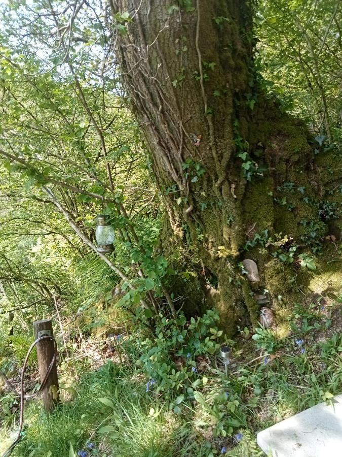 'Morris' The Shepherd'S Hut With Woodland Hot Tub Carmarthen Bagian luar foto