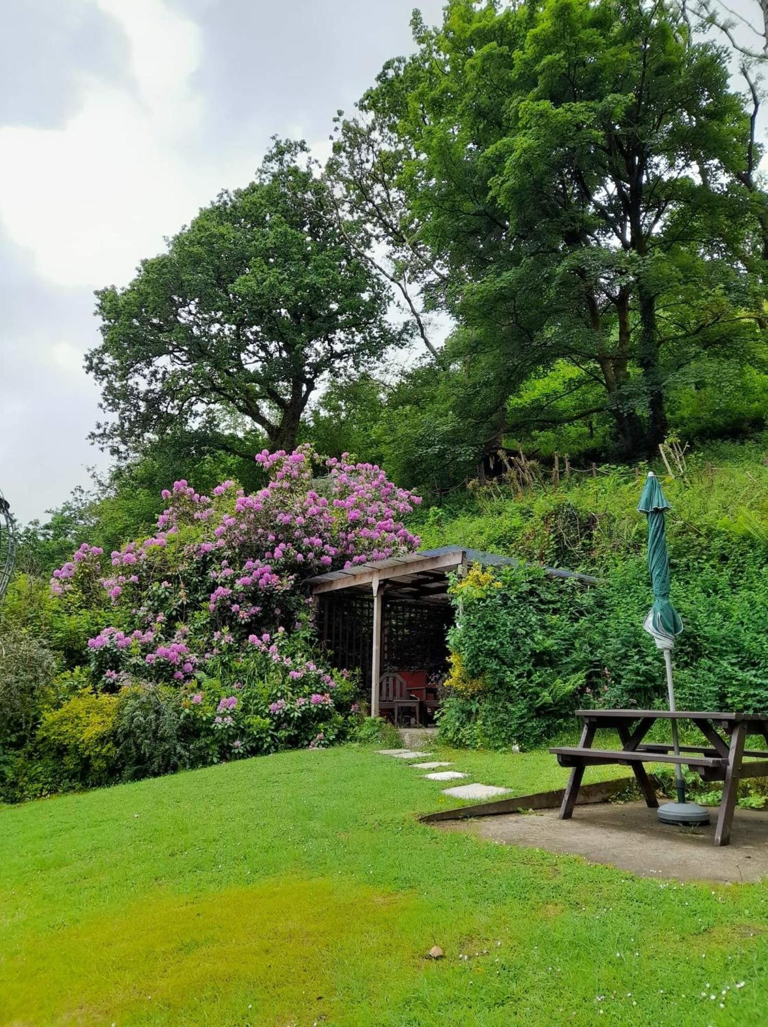 'Morris' The Shepherd'S Hut And Woodland Hot Tub Experience Carmarthen Bagian luar foto