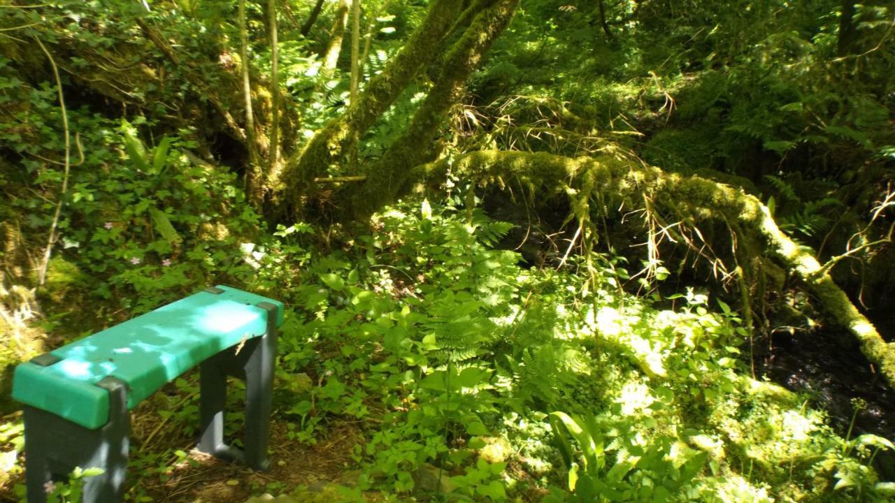 'Morris' The Shepherd'S Hut With Woodland Hot Tub Carmarthen Bagian luar foto