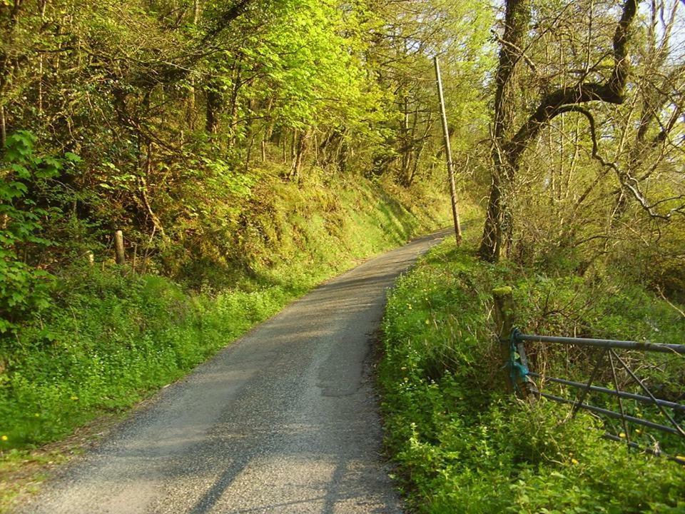 'Morris' The Shepherd'S Hut And Woodland Hot Tub Experience Carmarthen Bagian luar foto