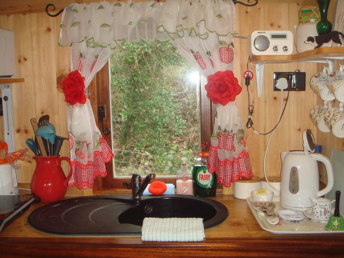 'Morris' The Shepherd'S Hut With Woodland Hot Tub Carmarthen Bagian luar foto