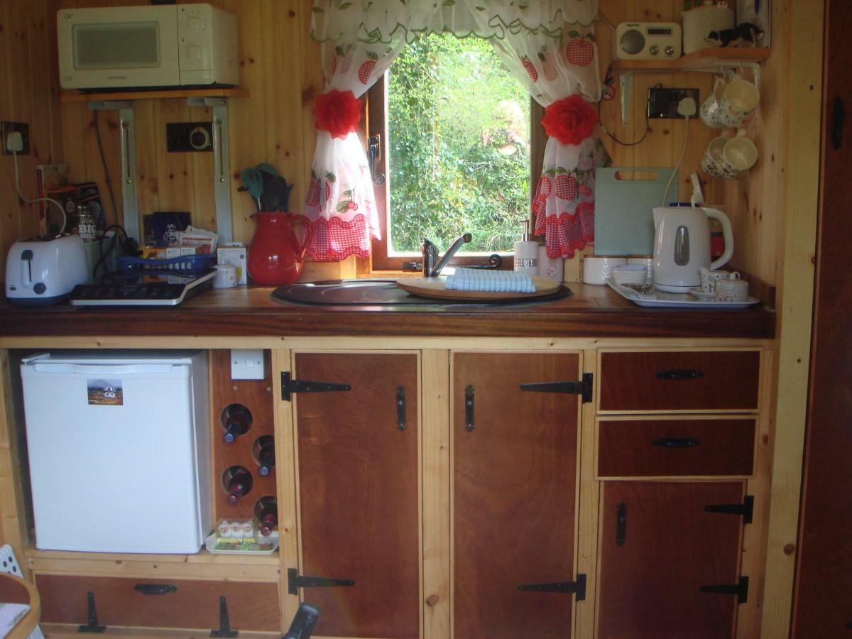 'Morris' The Shepherd'S Hut And Woodland Hot Tub Experience Carmarthen Bagian luar foto