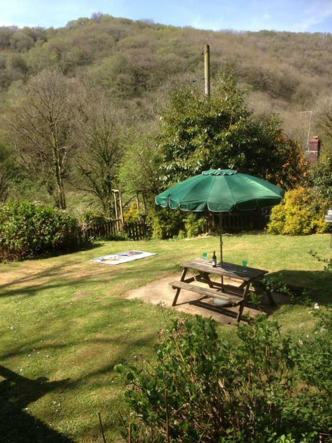 'Morris' The Shepherd'S Hut With Woodland Hot Tub Carmarthen Bagian luar foto