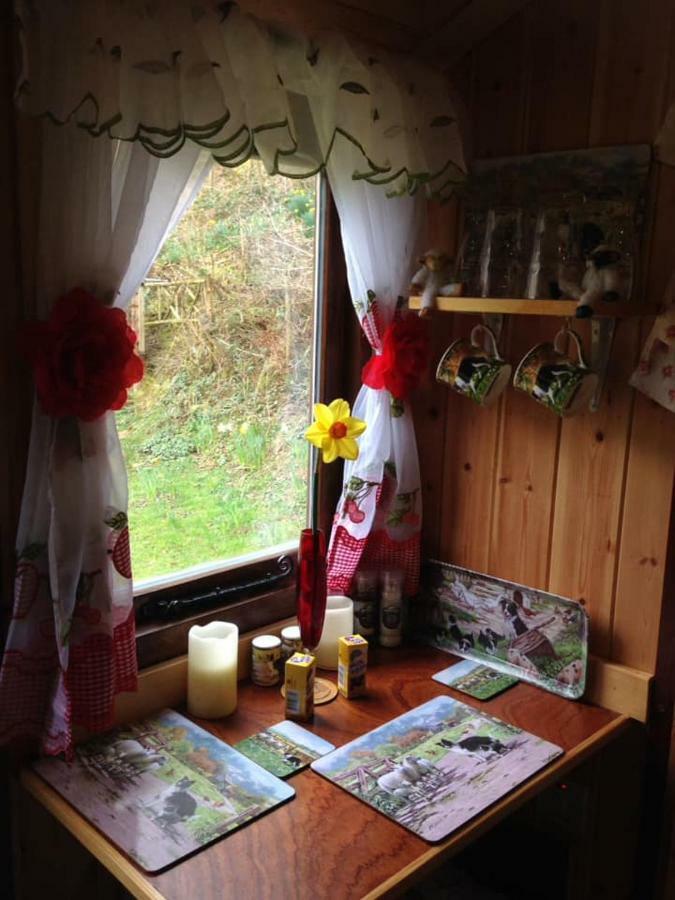 'Morris' The Shepherd'S Hut With Woodland Hot Tub Carmarthen Bagian luar foto