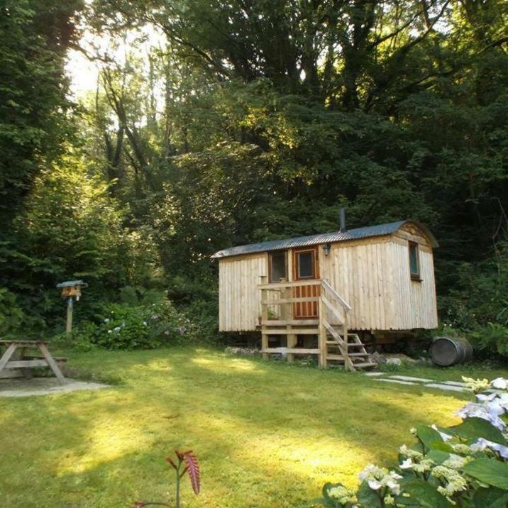 'Morris' The Shepherd'S Hut And Woodland Hot Tub Experience Carmarthen Bagian luar foto