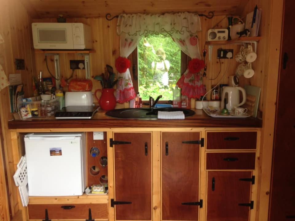 'Morris' The Shepherd'S Hut With Woodland Hot Tub Carmarthen Bagian luar foto