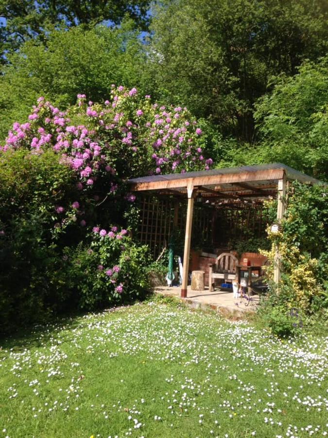 'Morris' The Shepherd'S Hut With Woodland Hot Tub Carmarthen Bagian luar foto