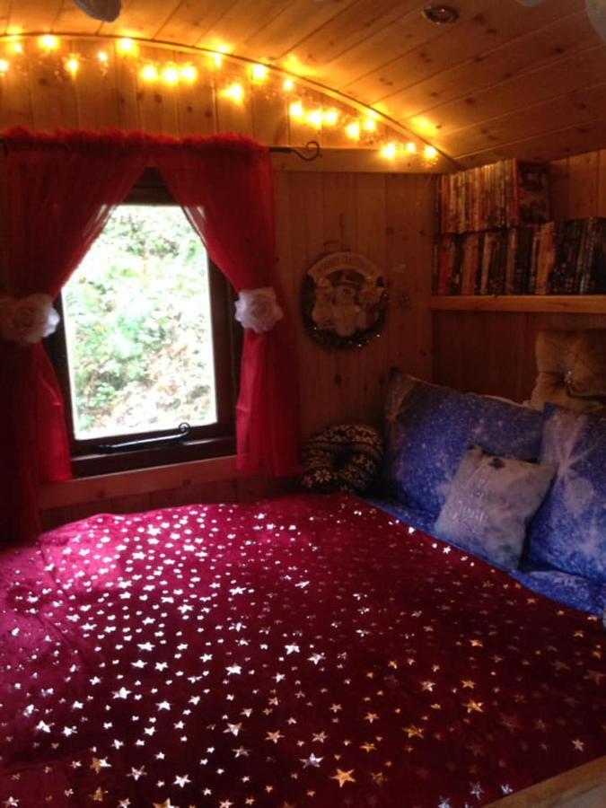 'Morris' The Shepherd'S Hut With Woodland Hot Tub Carmarthen Bagian luar foto