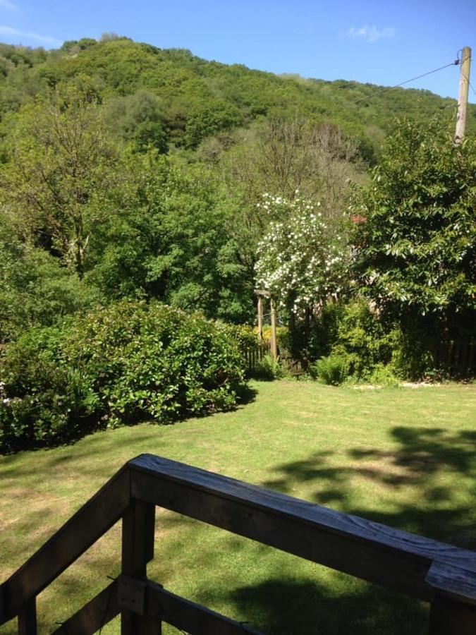 'Morris' The Shepherd'S Hut With Woodland Hot Tub Carmarthen Bagian luar foto