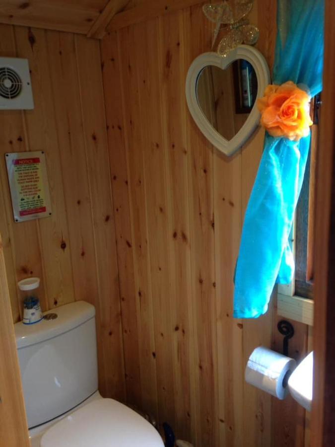 'Morris' The Shepherd'S Hut With Woodland Hot Tub Carmarthen Bagian luar foto